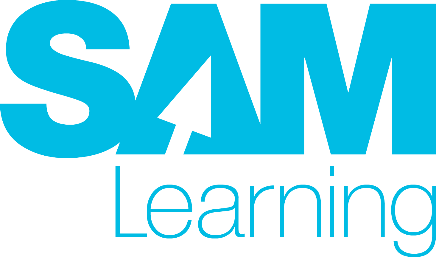 SAM Learning Square Large Transparent  (2)